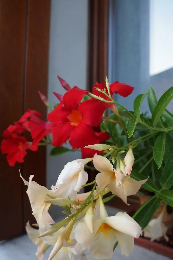 La Brigata Apartments Suite Room Cavallino-Treporti 0*,  Italy